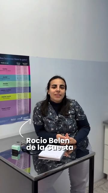 Veterinaria Compostela - atención